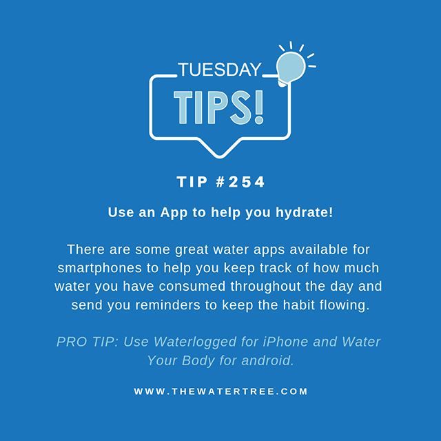 TIP # 254: @waterminder_app, @mywaterapps, @waterlogged_app, and @waterapp__ are a few apps that you can use to help you be mindful about your #hydrationhabits
#TuesdayTips #TheWaterTree bit.ly/2XgyCjd