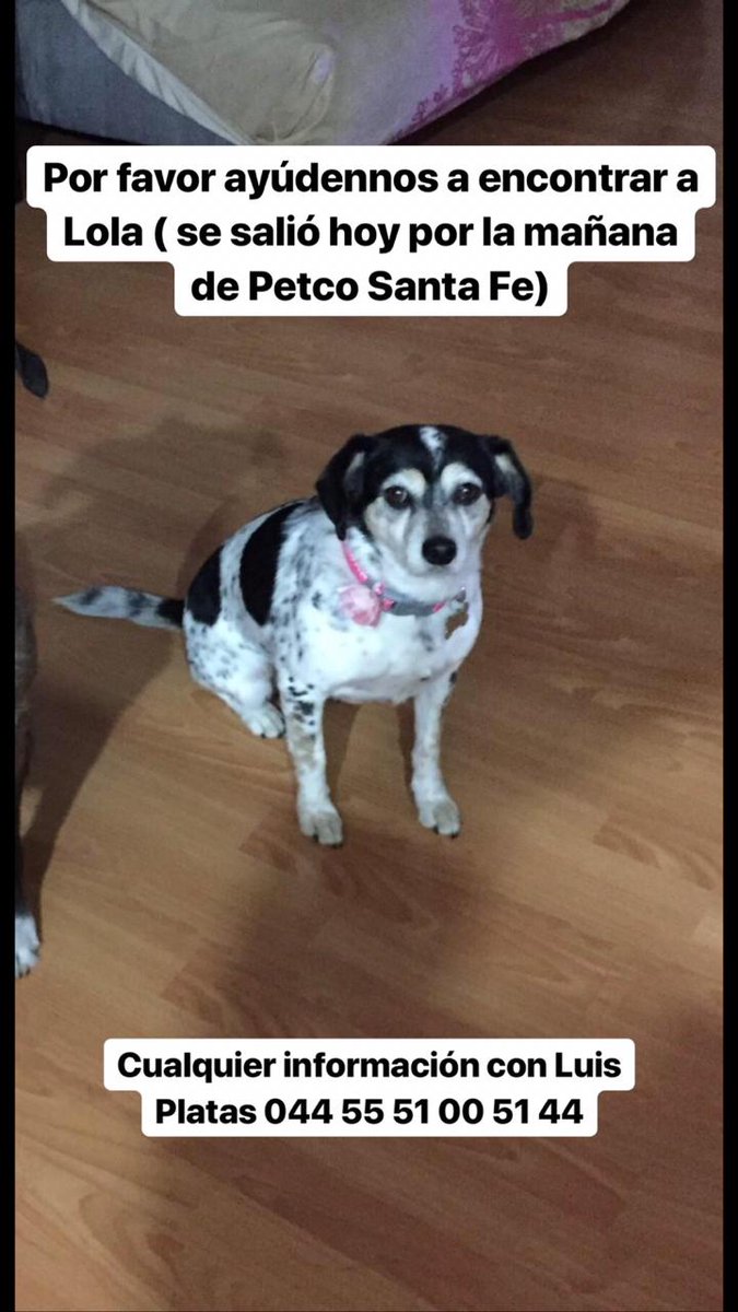 Amigos ayúdenme a compartir esta publicación  #rt #AyudaHumanitaria  #dog #Solidaridad <a href="/PetcoMexico/">Petco México</a>