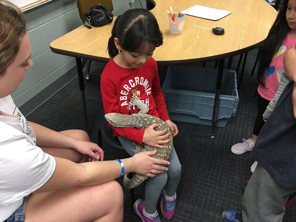 WortmansClass's tweet photo. The live animals are always a big draw at Turner Elementary!  What a great family event!  #Turner202Strong #TEcubs https://t.co/OAGc4HPYJO