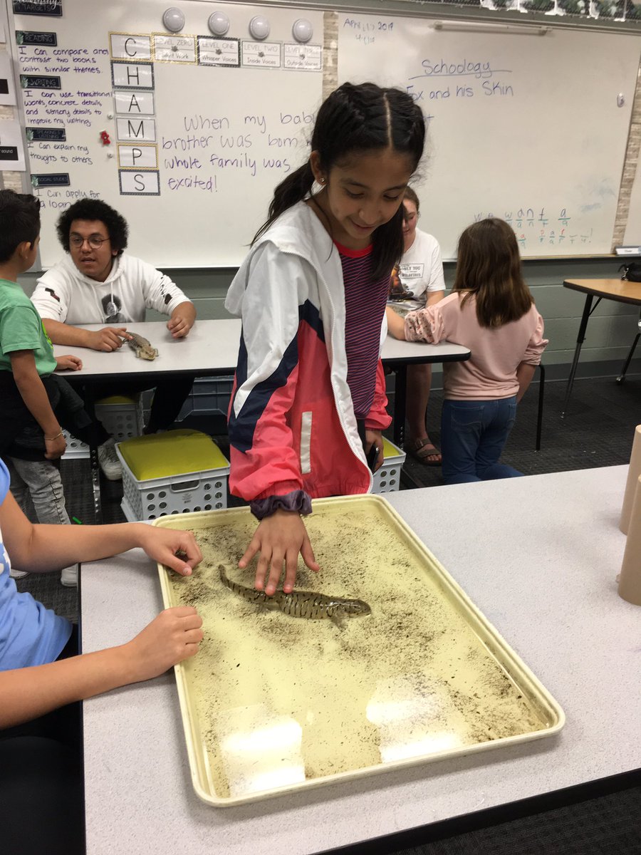 WortmansClass's tweet photo. The live animals are always a big draw at Turner Elementary!  What a great family event!  #Turner202Strong #TEcubs https://t.co/OAGc4HPYJO