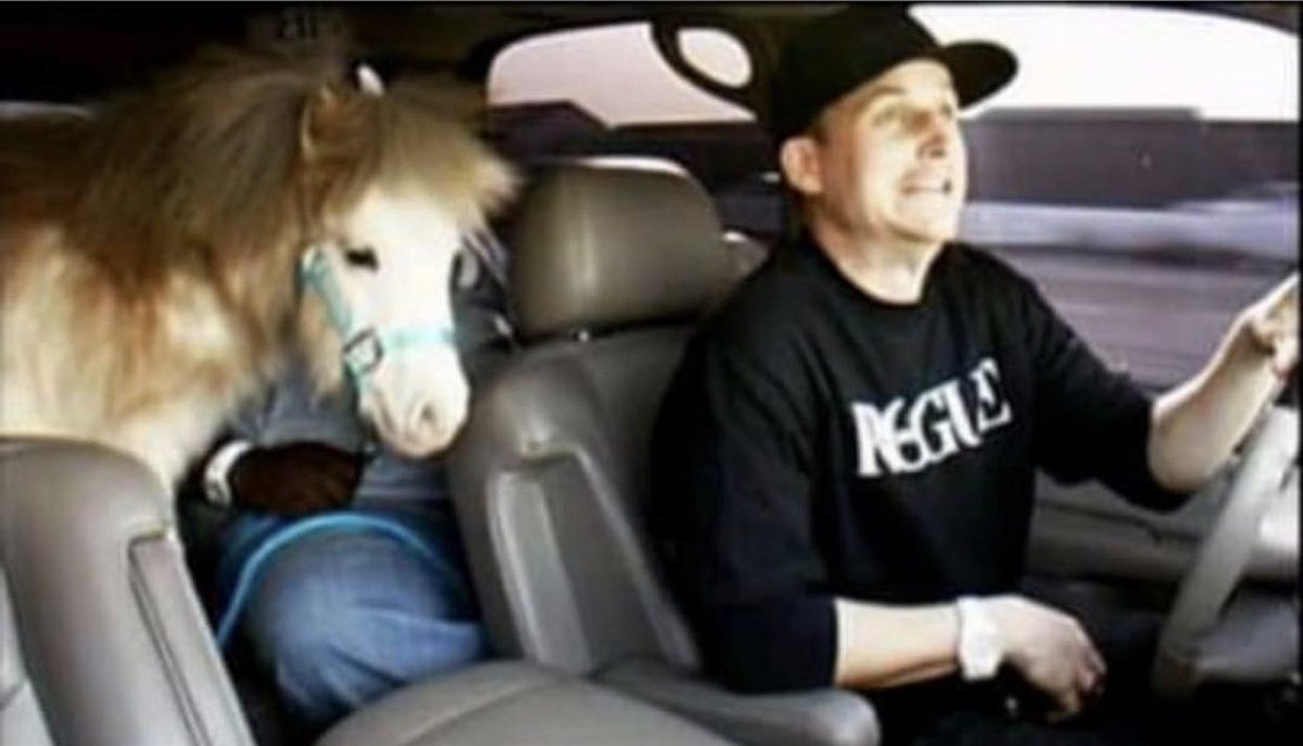 ssilvaaaasurfer's tweet photo. Rob had “ horses in the back “ first 

#DC4eva https://t.co/C3i6qSdN5p