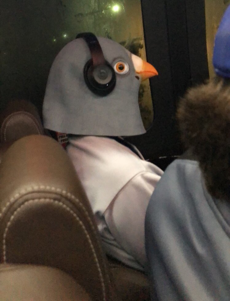 npubaseball's tweet image. Congratulations to the first pigeon to throw nine scoreless innings with one measly hit.