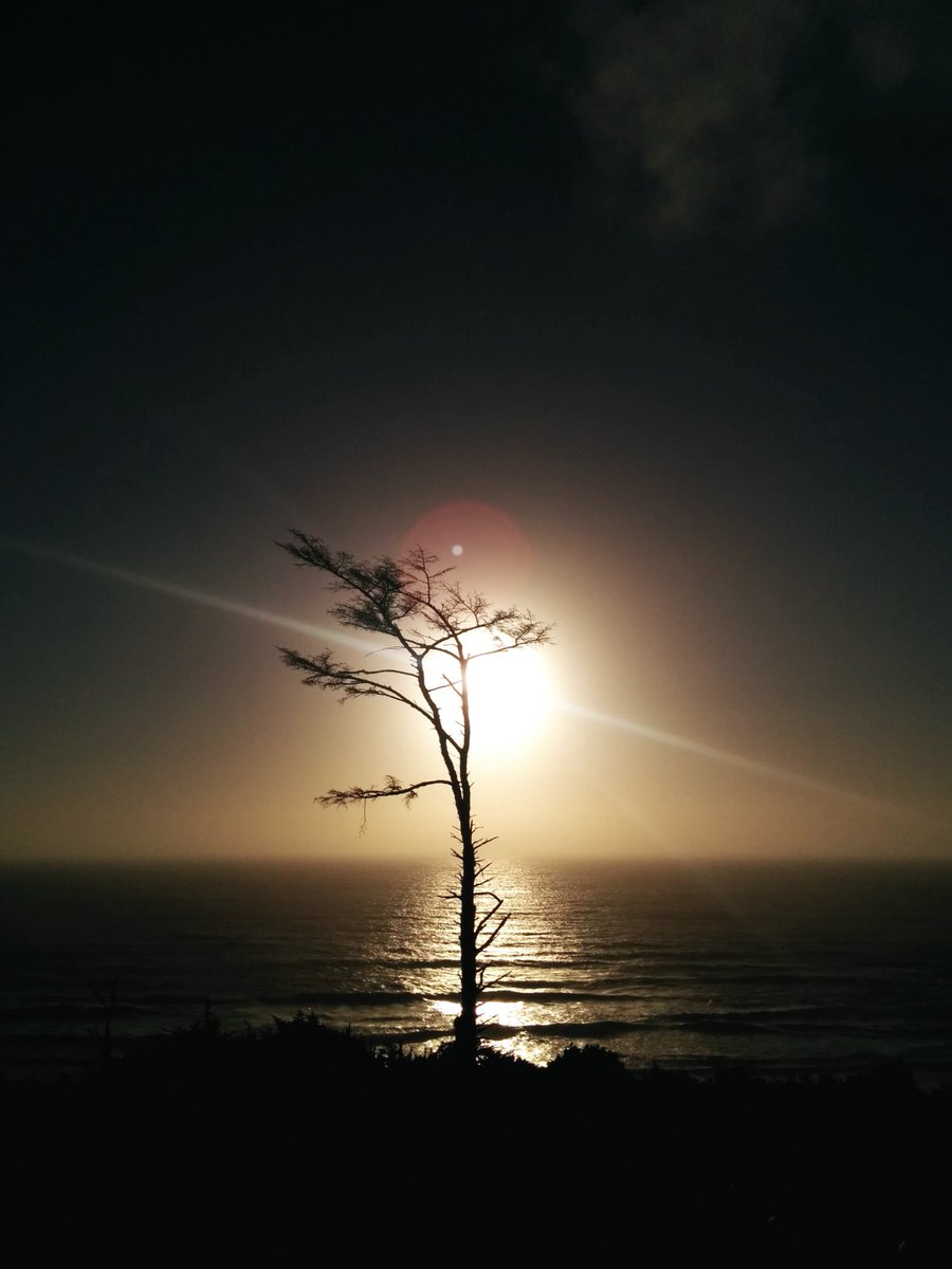 DeWitt Clinton tweet media