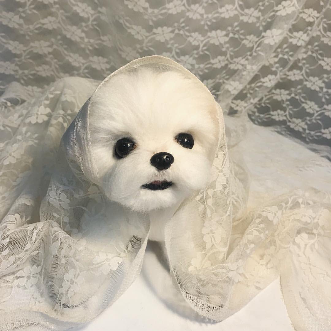 이거 라이관린 (@this_is_kuanlin) on Twitter photo 