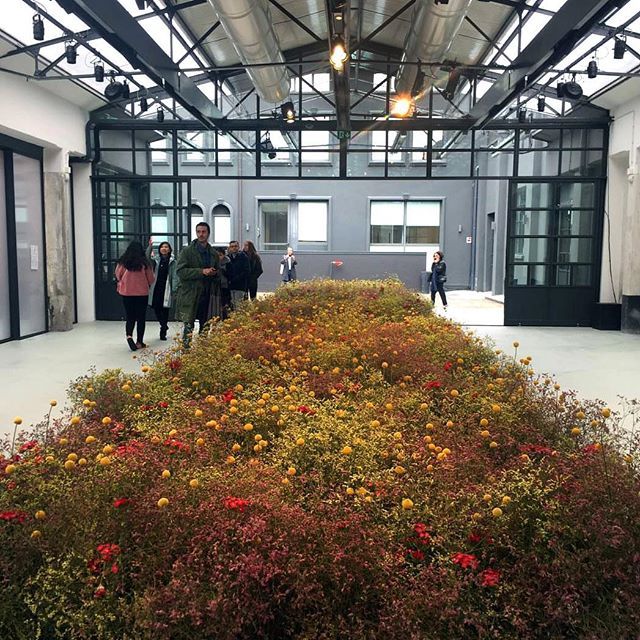 MOCO @ #MilanDesignWeek2019: flowerbed by florist <a href="/markcolle/">colleen m matthewson</a> at the entrance of No Man's Land by Kvadrat/Raf Simons.⁣ #design #flower #art #MDW19 #salonedelmobile2019 bit.ly/2Iprjmc