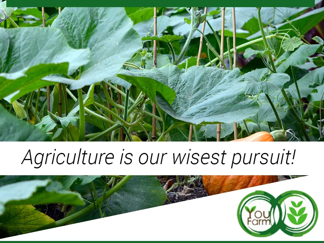 "Agriculture is our wisest pursuit because it will in the end contribute most to real wealth, good morals, and happiness." - Thomas Jefferson. Lets invest in real wealth.
