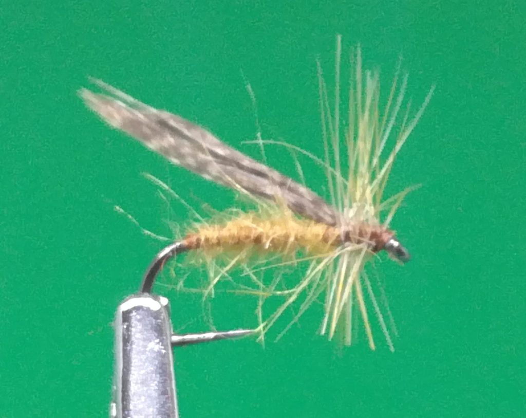FlychefD tweet picture