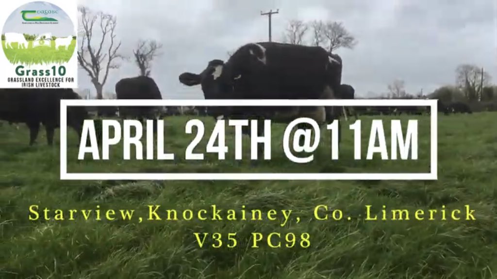 “Grass, People &amp; Cows - there is nothing extraordinary, fancy or unrealistic to what we do here on this farm,” John Macnamara Grassland Farmer of the Year 24th April 2019 11am youtu.be/qfey8-UNz0E via <a href="/YouTube/">YouTube</a>