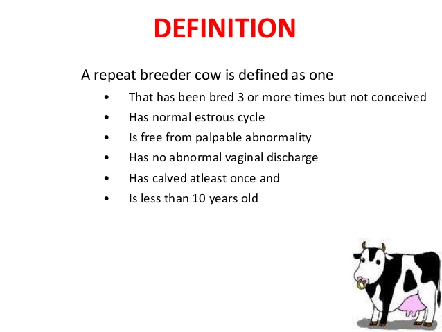 DigicowApp's tweet photo. Join our Daily discussion TODAY between 3-4Pm as our dairy Expert shares his knowledge on how to reduce the culling rate of repeat breeder dairy cow @DigiCowFarmersChatRoom.
Download #DigiCowDairyApp from Play store at No charge to join
#DigiCowApp #FarmersOnlineClassRoom. https://t.co/G9p17Kh2XB