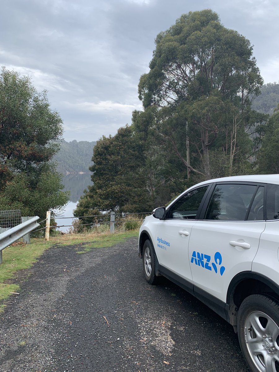 KearsleyElla's tweet photo. Fantastic Field Day out at Sheffield hearing from Damien & Brooke Cocker (& girls!!) winners of the 2019 Fonterra Share Dairy Farmer of the Year. Well run @TIADairy and @ANZ_AU & @Dairy_Australia major sponsors of 2019 Tasmanian Dairy Awards. #anzagri #aggrad https://t.co/4bjW587dPn