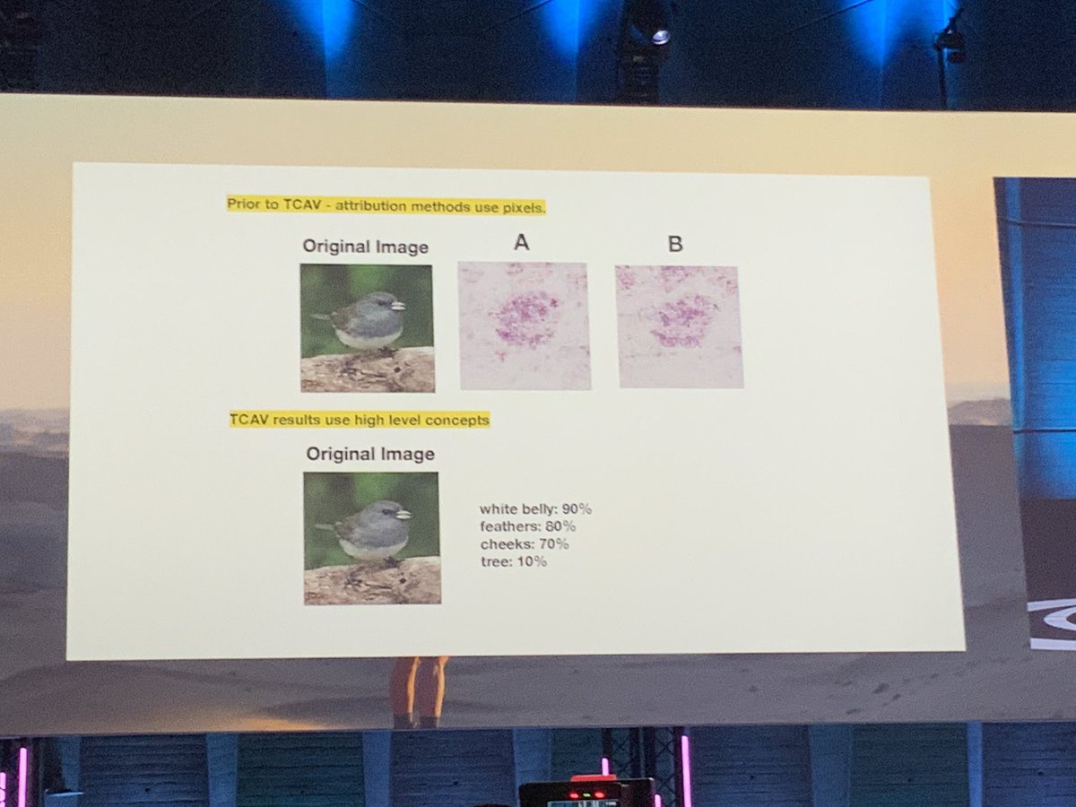 e_methivier's tweet photo. #netexplo tcav propose une explication « humainement compréhensible » aux modélisation #ml #ai #explicabilite https://t.co/nF7aRgnAJY