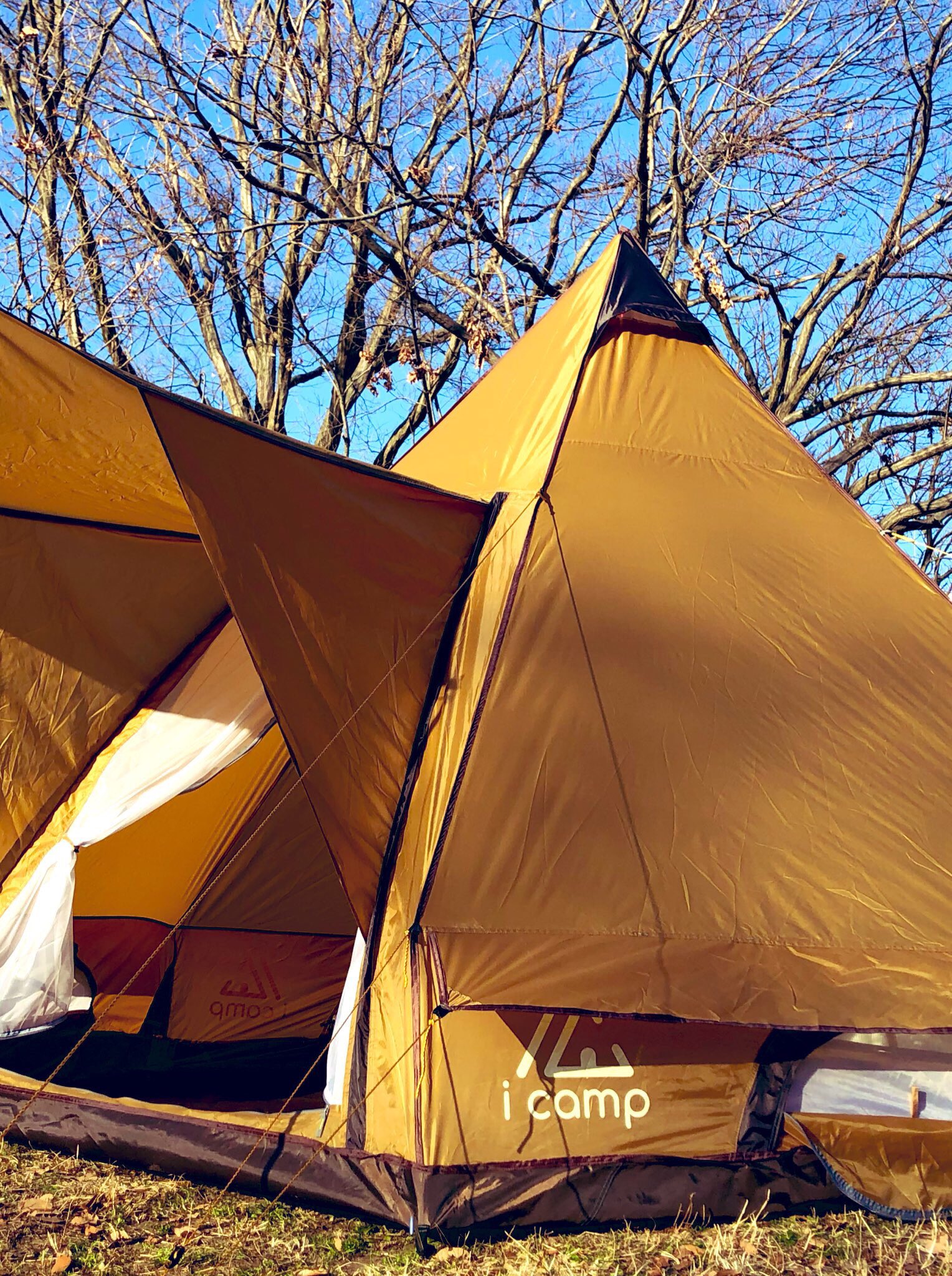 没頭する 宝 ファイバ Icamp ワン ポール テント Pervo Jp