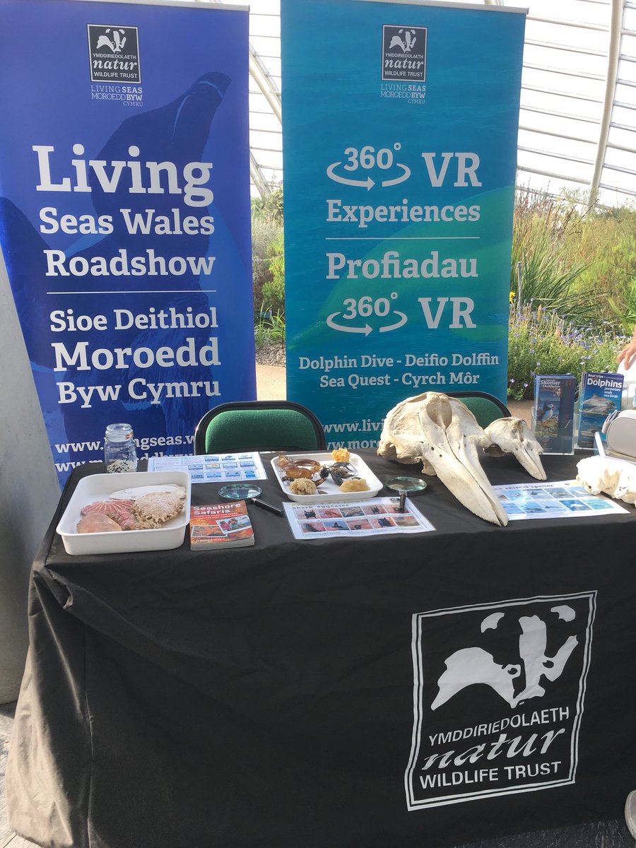 Carys Evans tweet media