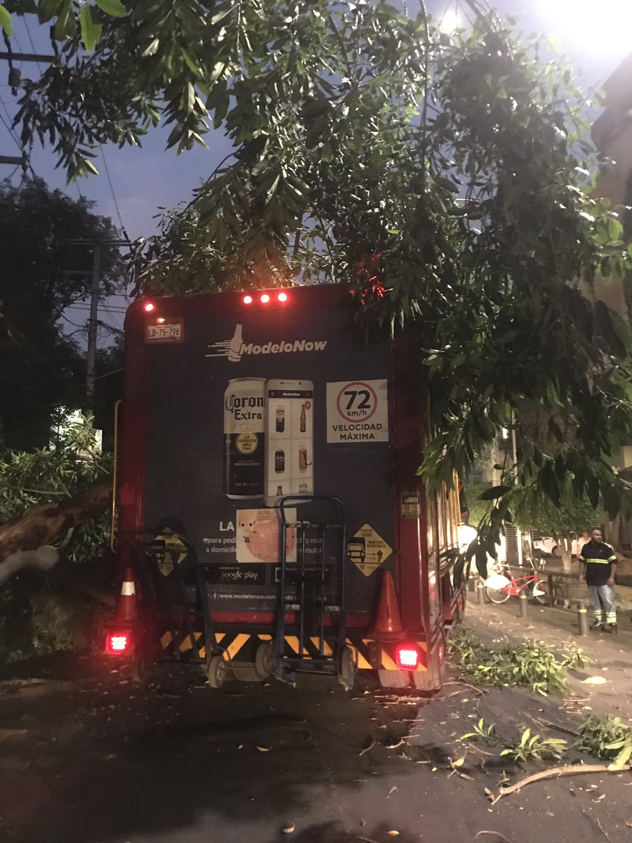 Tulichi's tweet photo. Los babosos de @CervezaVictoria  @GrupoModelo_MX tiraron un árbol y tiraron un transformador dejando 2 cuadras sin luz  col roma norte @RomaNorte 😵😵😵 https://t.co/MV9dSyM45S