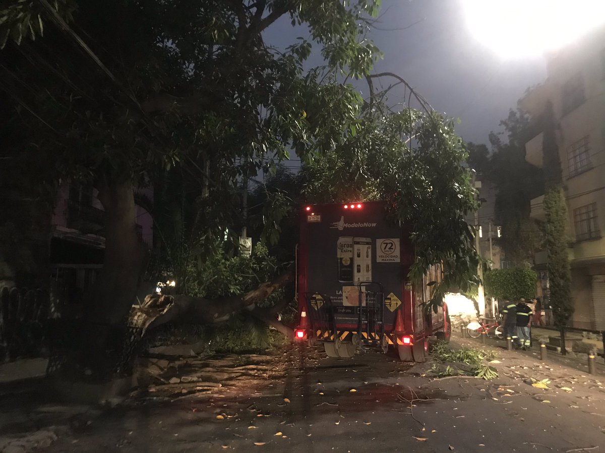 Tulichi's tweet photo. Los babosos de @CervezaVictoria  @GrupoModelo_MX tiraron un árbol y tiraron un transformador dejando 2 cuadras sin luz  col roma norte @RomaNorte 😵😵😵 https://t.co/MV9dSyM45S