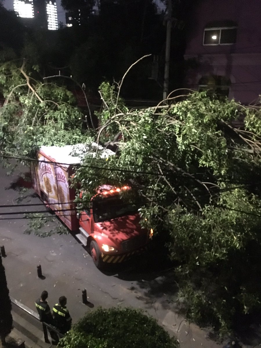 Tulichi's tweet photo. Los babosos de @CervezaVictoria  @GrupoModelo_MX tiraron un árbol y tiraron un transformador dejando 2 cuadras sin luz  col roma norte @RomaNorte 😵😵😵 https://t.co/MV9dSyM45S
