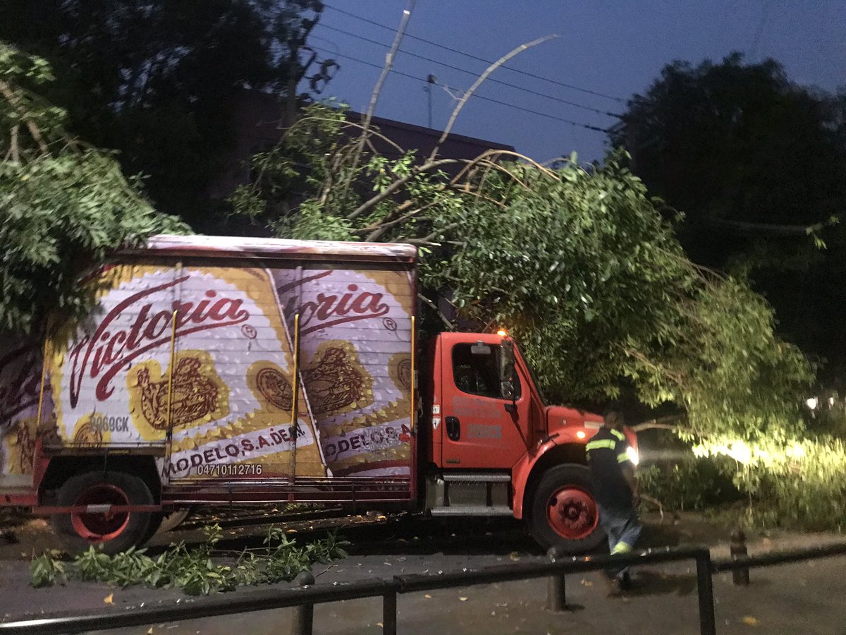 Tulichi's tweet photo. Los babosos de @CervezaVictoria  @GrupoModelo_MX tiraron un árbol y tiraron un transformador dejando 2 cuadras sin luz  col roma norte @RomaNorte 😵😵😵 https://t.co/MV9dSyM45S