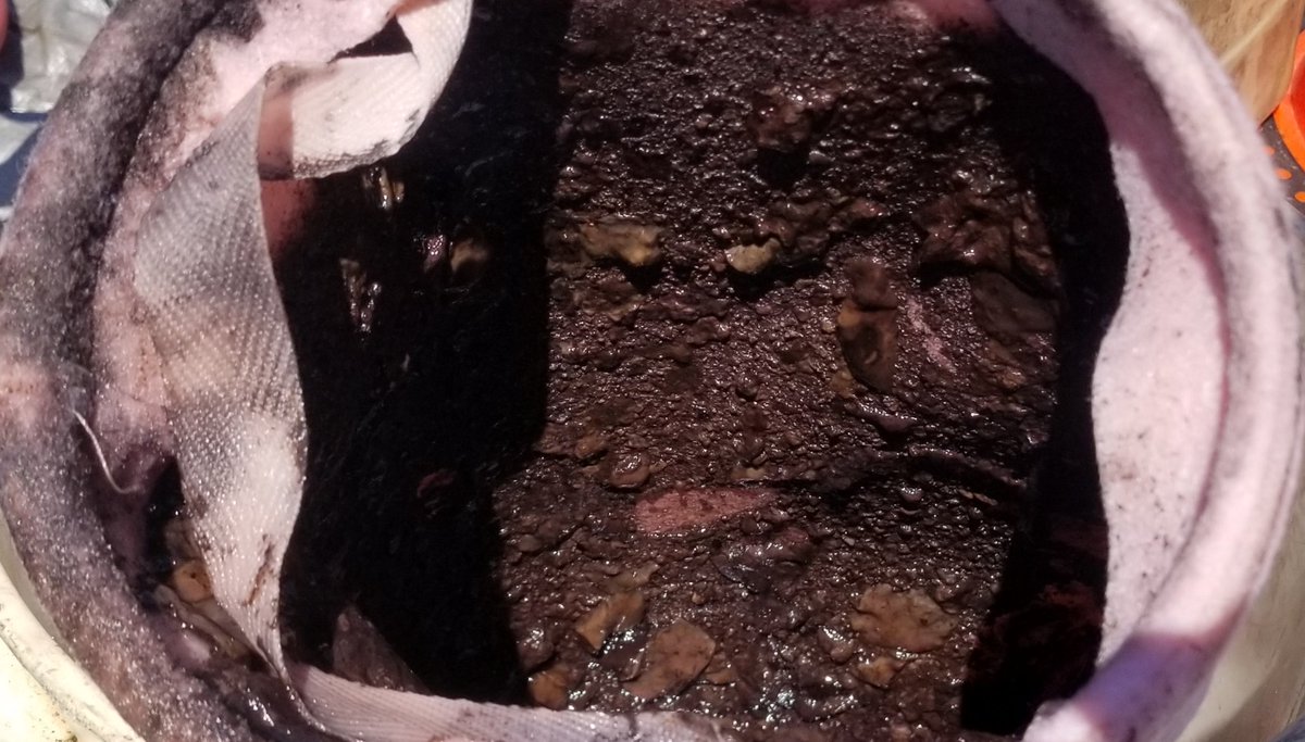 FluidPolishing's tweet photo. This is sludge and water being removed from a 1,000 gallon diesel tank.
#fuelpolishing #FuelManagement #generators #generator #fueltesting #datacenter #missioncritical #fleet #tank #diesel #lifesaftey #sludge #Trucking #damage #fuel #telecom #UST #NFPA #PEI  #maintenance #Danger https://t.co/miP3mqaE6T