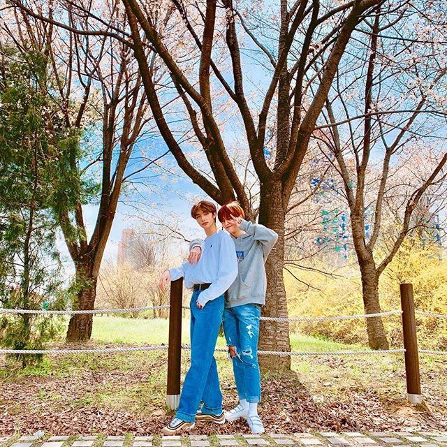 StrayKSubs's tweet photo. [#INSTA] @ realstraykids

《SKZ UPDATE》

"The weather is too good to just stay at home..🌸❣️
#straykids #9 #STAY #photographerSeungmin #WhileFilming #BriefBreak"

@Stray_Kids 

#StrayKids #스트레이키즈 #Seungmin, #Hyunjin &amp; #IN https://t.co/2CwfDJSOxQ