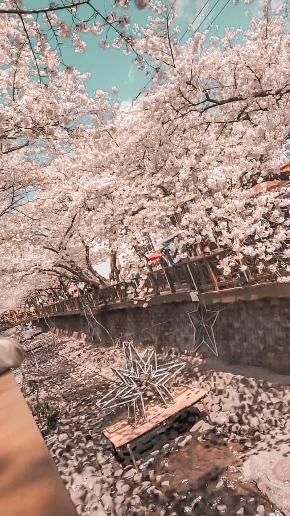 nyelipdigigi's tweet photo. [[A THREAD ]]

PRESET LIGHTROOM PASTEL UWUW https://t.co/bc8fkcriOb