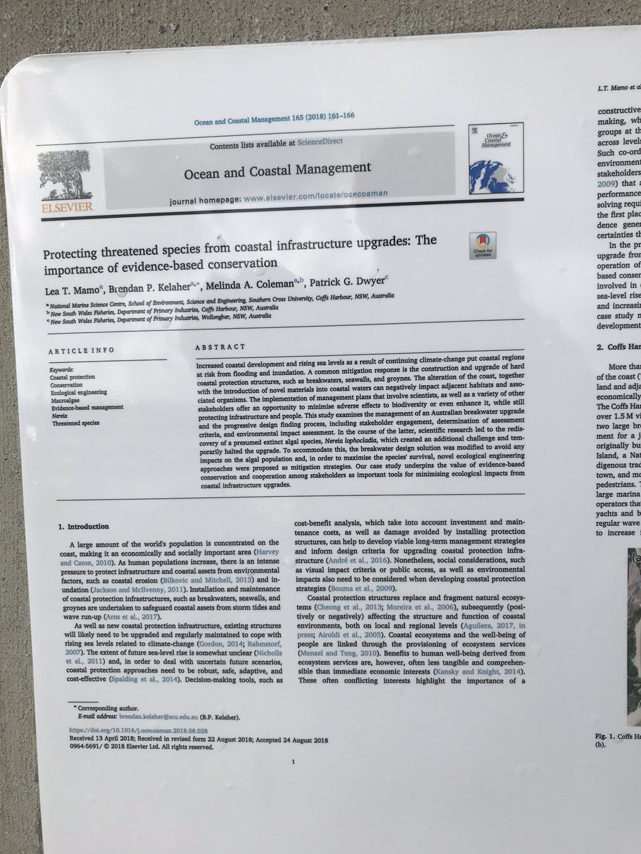 Stuart Khan tweet media