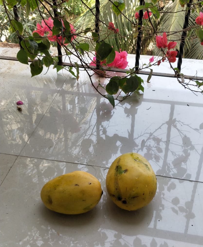 Rujuta Diwekar on Twitter "Want fibre? Eat oats. Want polyphenols