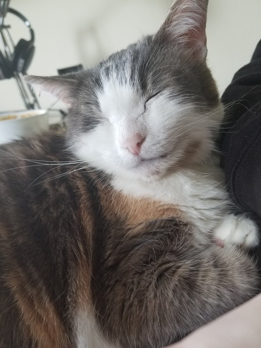 HydrationMom's tweet photo. She smiles in her sleep, its the sweetest thing. https://t.co/RtG58ystt3