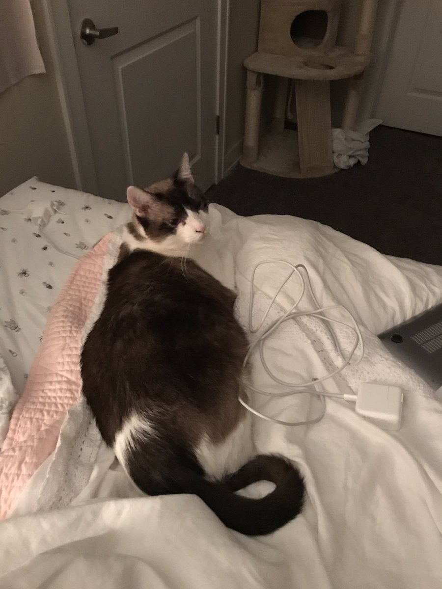 CharlieBug6's tweet photo. mom rite very big päpurr to gradyuatee, she bizy, I help hurr https://t.co/6VCvG4JqPL