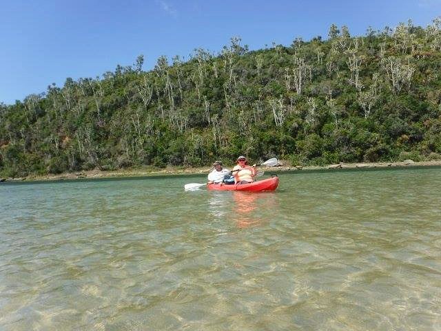 ExploreEastCape's tweet photo. There's always more to explore! How would you like to be paddling up the Kariega River in the glorious #EasternCape sunshine with friends and family? Woodlands #Kenton  offers a full-day paddle with a bush walk. https://t.co/UItfRhdG4E https://t.co/YBR0m1XzzS