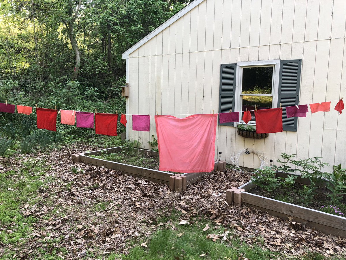 CarsonSieving's tweet photo. @hels @summeranne I’ve had a cottage since before it was cool, maybe?! But now calling it cottagecore. Hand dyed vintage napkins drying on the clothesline, peonies I grew, my pink tree (most of the flowers at my cottage are pink), and tray of tomatoes from the garden to roast into sauce #FtMadison https://t.co/wNCH1aZ6He