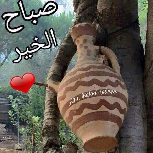 صباح الخير للفايقين
أما النايمين لا..صباح لهم خليكم نايمين
😊😊😊