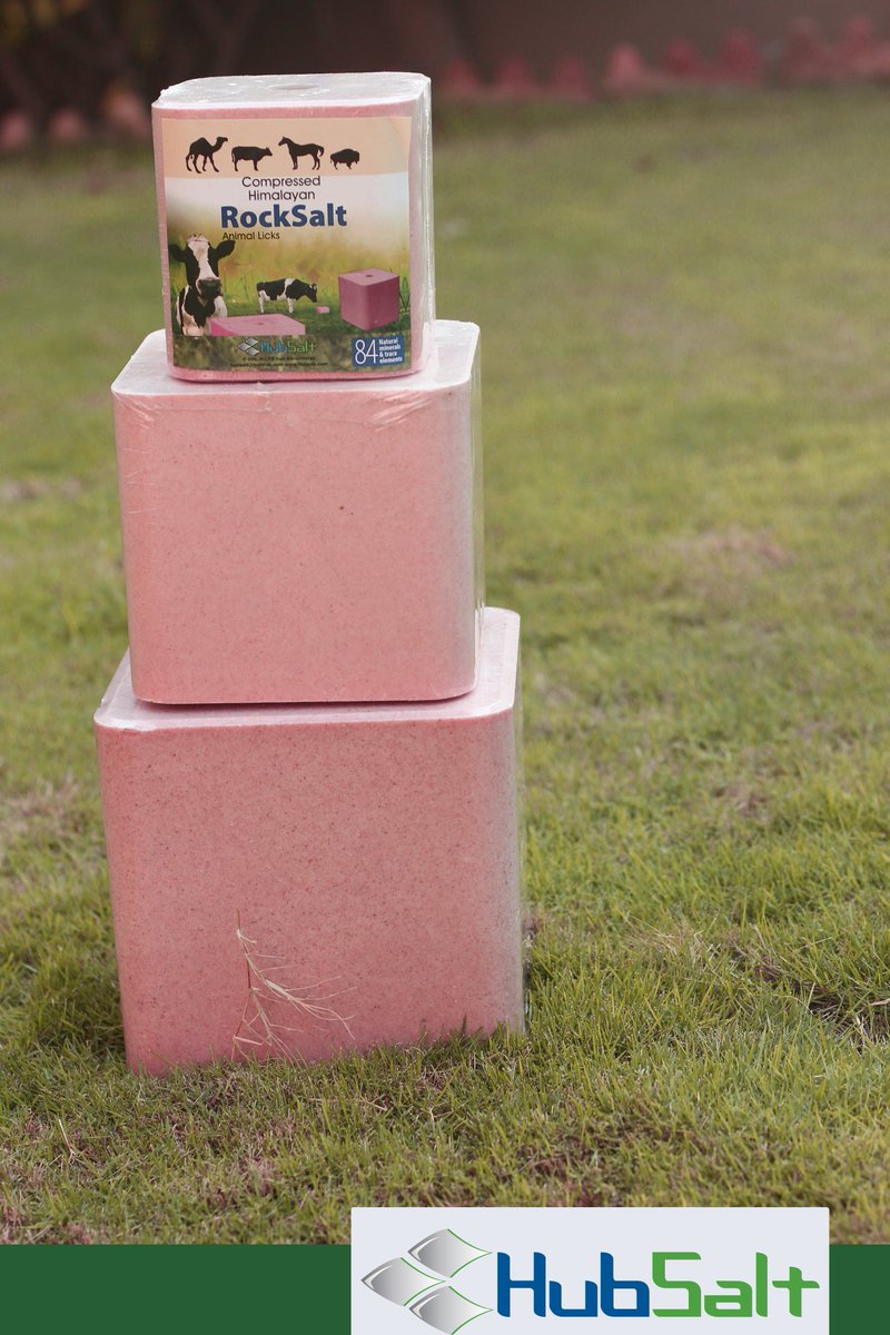HubSaltLicks's tweet photo. Compressed #Himalayan #Pink #Salt #Licks are much more durable and effective than crushed rock salt. Increase your cattle's longevity with our Pink Salt Lick Blocks.

#himalayansalt #hubsalt #saltlicks #animallicks https://t.co/vxw2VG32aX