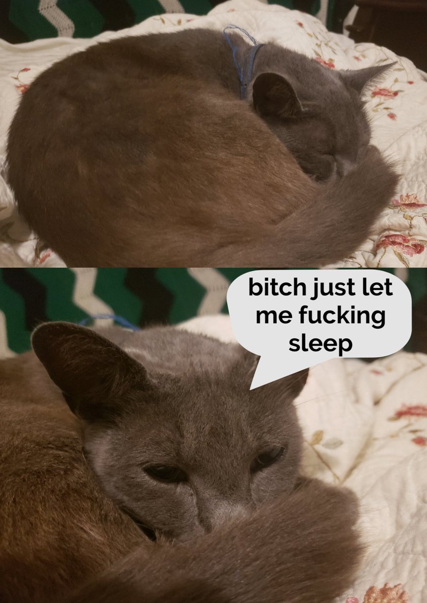 urfavesasnack's tweet photo. pls give requests I'm bored https://t.co/yDLmeqTmpM