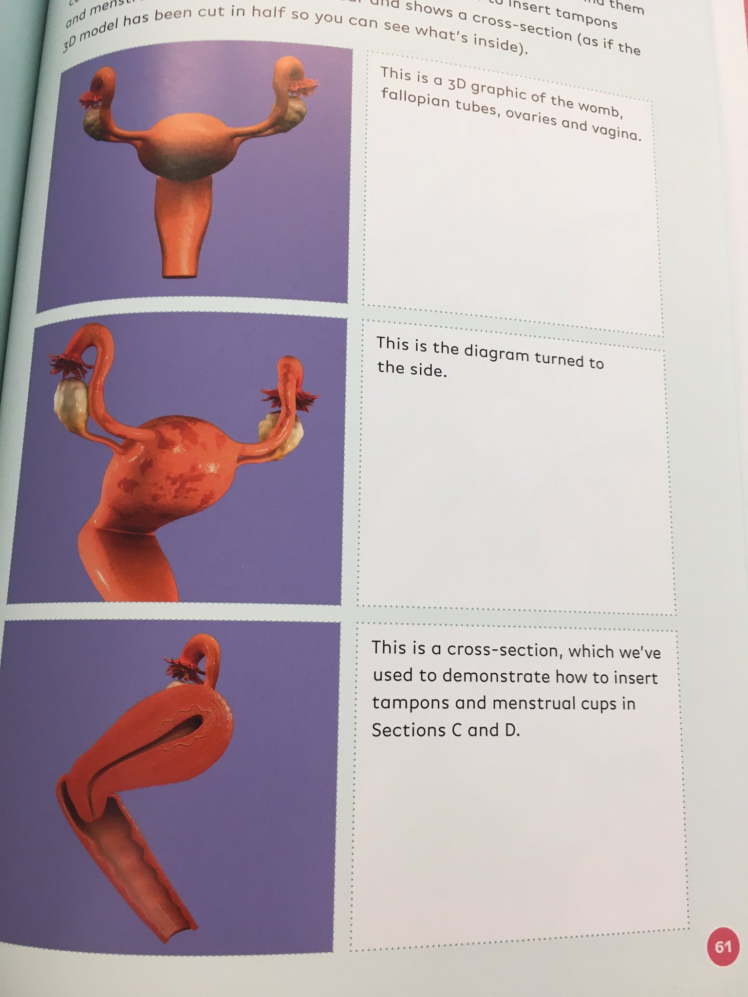 How To Use A Tampon Diagram
