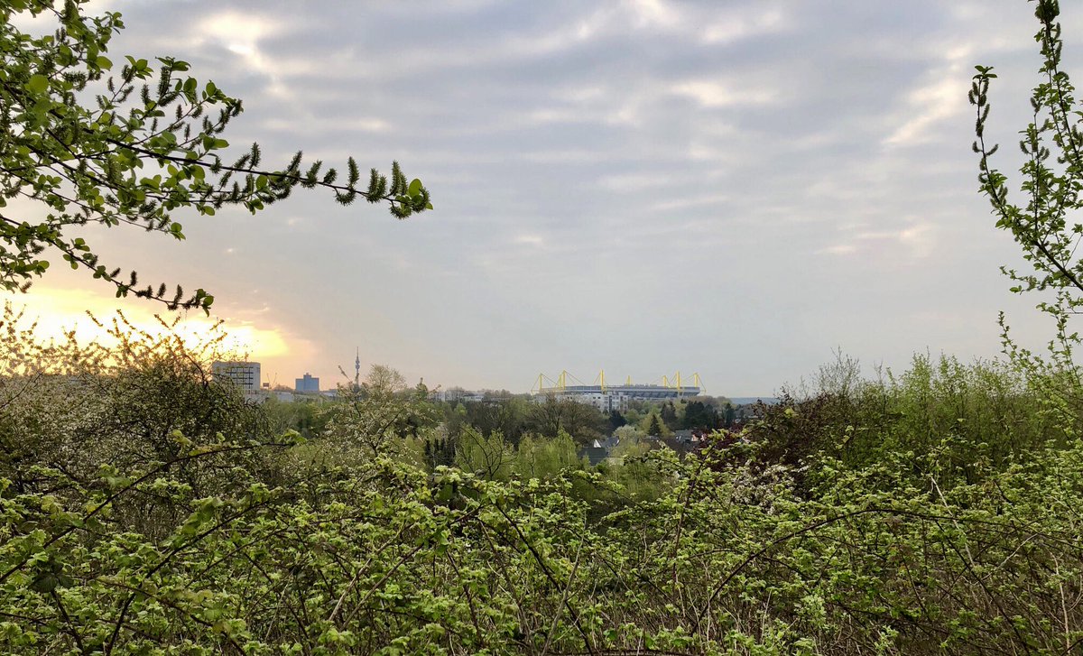 Borussia Dortmund (@bvb) on Twitter photo Guten Morgen, Borussen! 💛
Guten Morgen, schönstes Stadion der Welt! 🏟👀
<a href="/SIGNALIDUNAPARK/">SIGNAL IDUNA PARK</a> Guten Morgen, Borussen! 💛
Guten Morgen, schönstes Stadion der Welt! 🏟👀
<a href="/SIGNALIDUNAPARK/">SIGNAL IDUNA PARK</a>