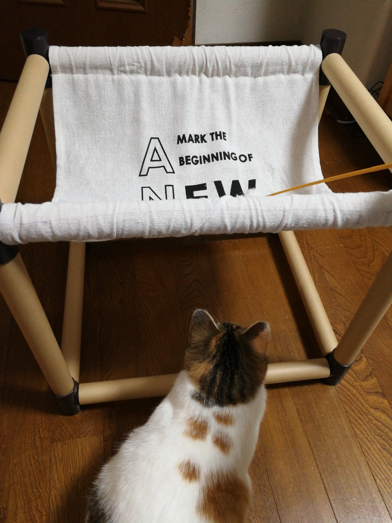 恵那 猫diy定番のセリアのクラフトラックで猫 ハンモック 39cmと30 5cmの長方形にしました 生地をどちらにかけるかでたわみが変わります 高さは30 5cm 猫モデルからの評価は 猫diy 100均diy