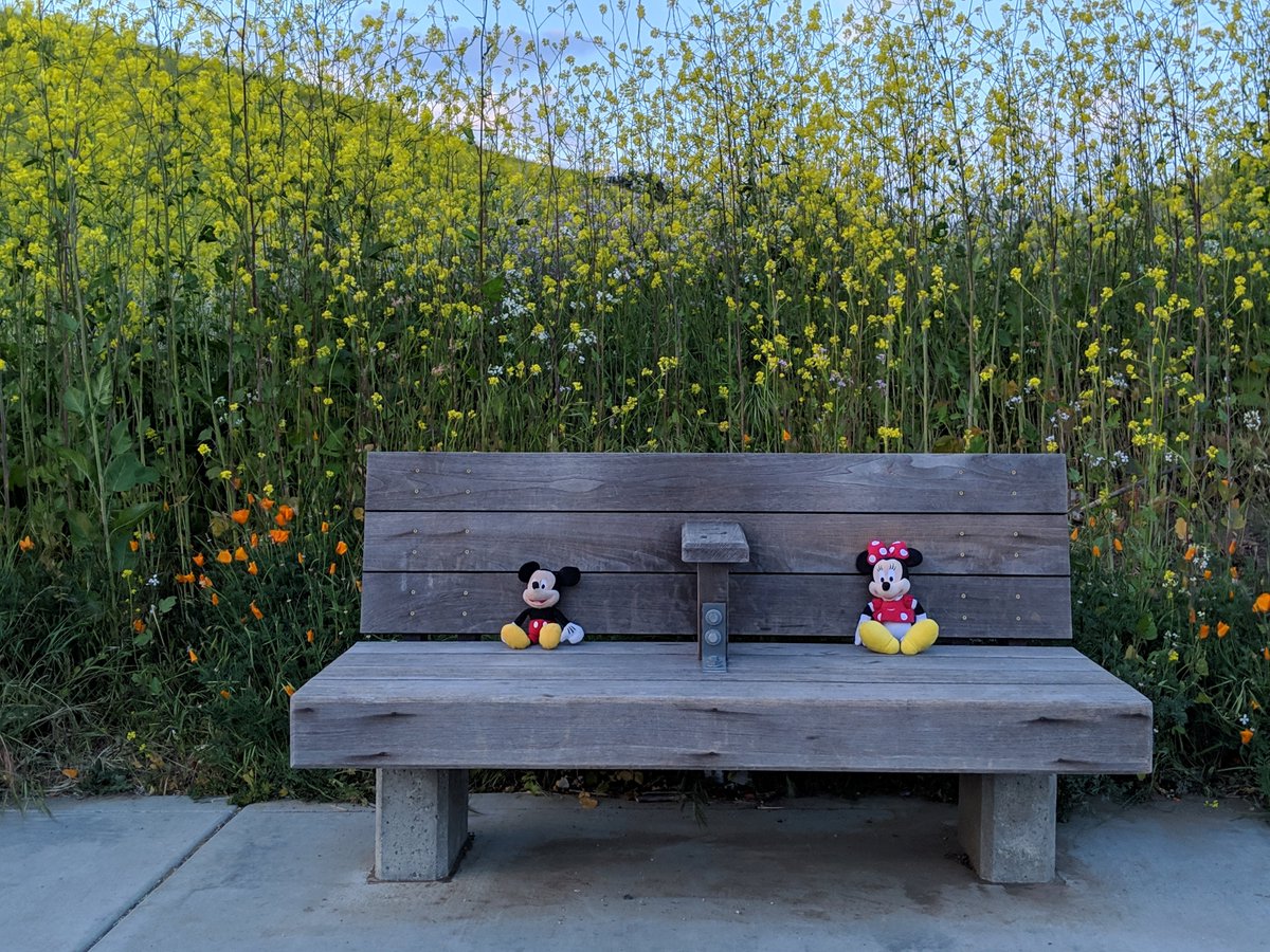 DisneyFanattic's tweet photo. Quiet afternoon at the park for two lovebirds. #DisneyFanAttic33 #mickeymouse #mickeyeminnie #spectrummediagroup https://t.co/VqzQFkmY1A https://t.co/oiQlnLILKn
