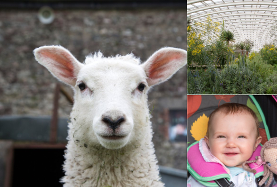 West Wales With Kids tweet media