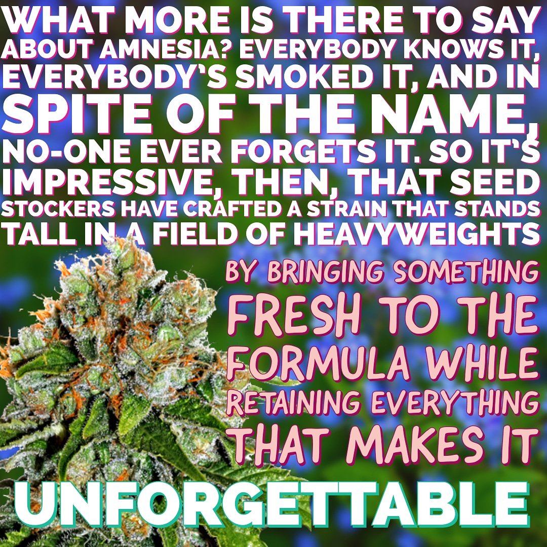 ChosenSeeds's tweet photo. 🔥🔥🔥 link in bio, available on store now! https://t.co/3O5H9KgnPO