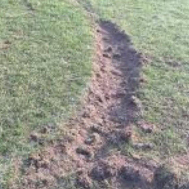 Juventus klaagt Overmars aan!! 😯 <a href="/AFCAjax/">AFC Ajax</a> <a href="/juventusfc/">JuventusFC</a> #watnwedstrijd