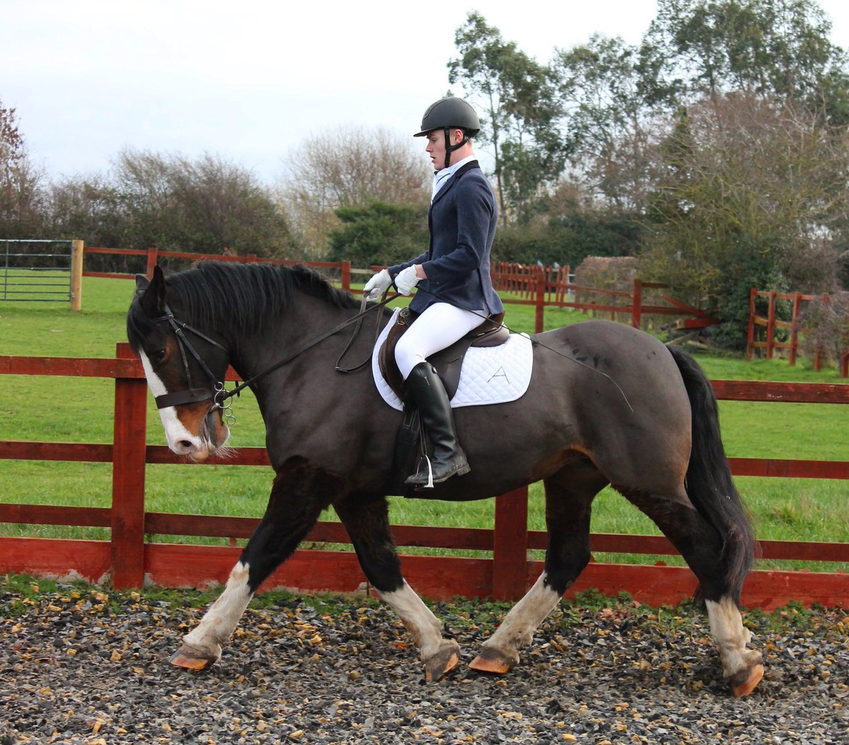 Good luck to our A Team today who will be competing in Nottingham for Regionals!! Smash it guys 🙌🏻🙌🏻 #CSYou