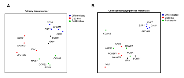 JournalGenetics's tweet photo. Commentary: Sortilin Inhibition Limits Secretion-induced Progranulin-dependent Breast Cancer Progression and Cancer Stem Cell Expansion
Read More: https://t.co/LKrp2luMlN
#Cancer #Pleiotropic https://t.co/XtUfguk6uk