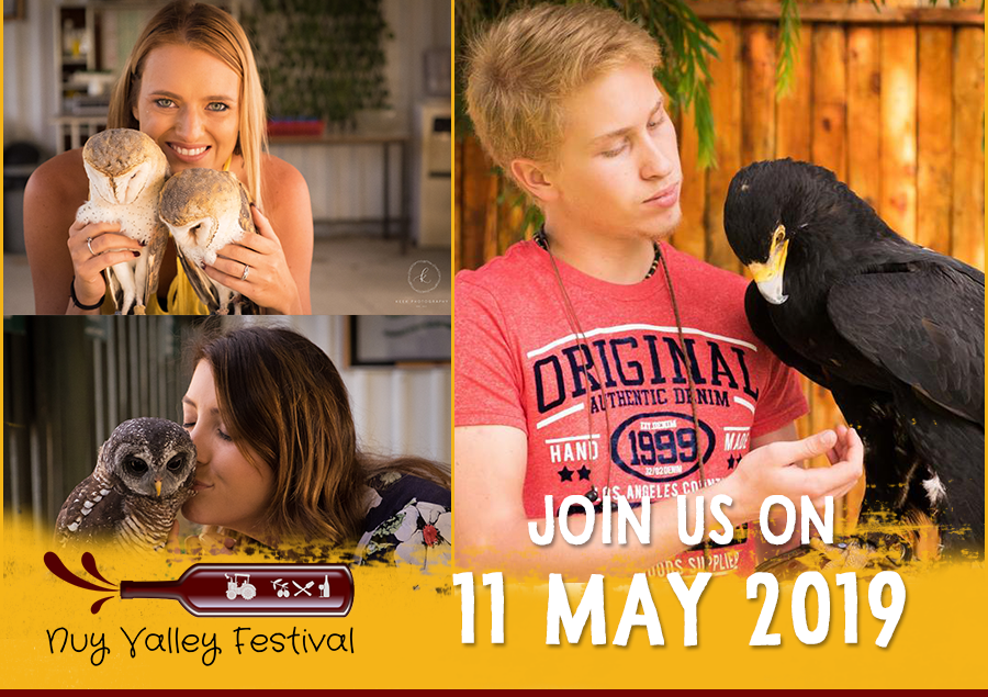 ConradieFamily's tweet photo. Interact with birds of prey at the @NuyValleyFest , thanks to a special visit from Eagle Encounters!

@EncountersEagle #conradiepenhill #artisanalwines #eagleencounters #nuyvalleyfeast https://t.co/9qXFBRiyJ4