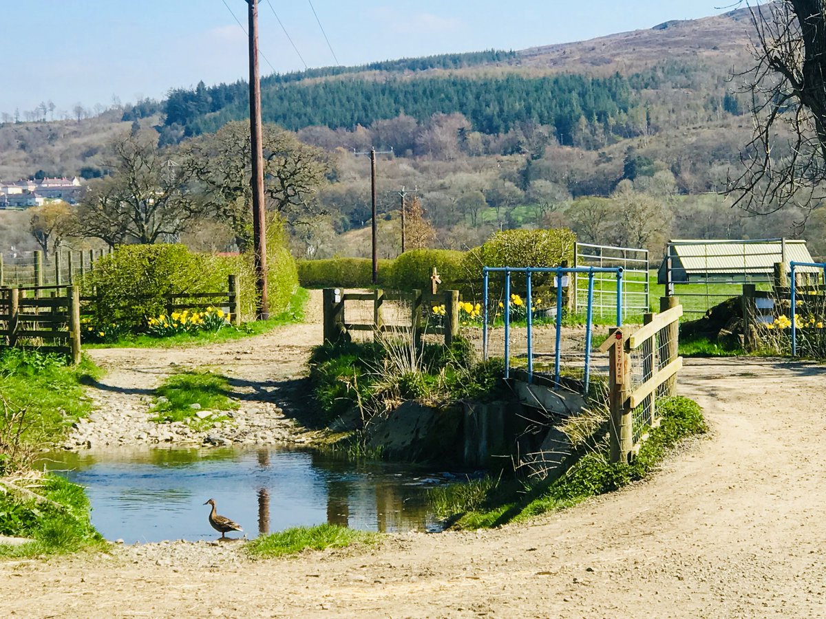 Rhug_Estate's tweet photo. It seems our request for beautiful weather for the Easter break has finally been answered....
Perfect for a visit to Rhug Estate 👌 https://t.co/JS8Ns2A7cp
