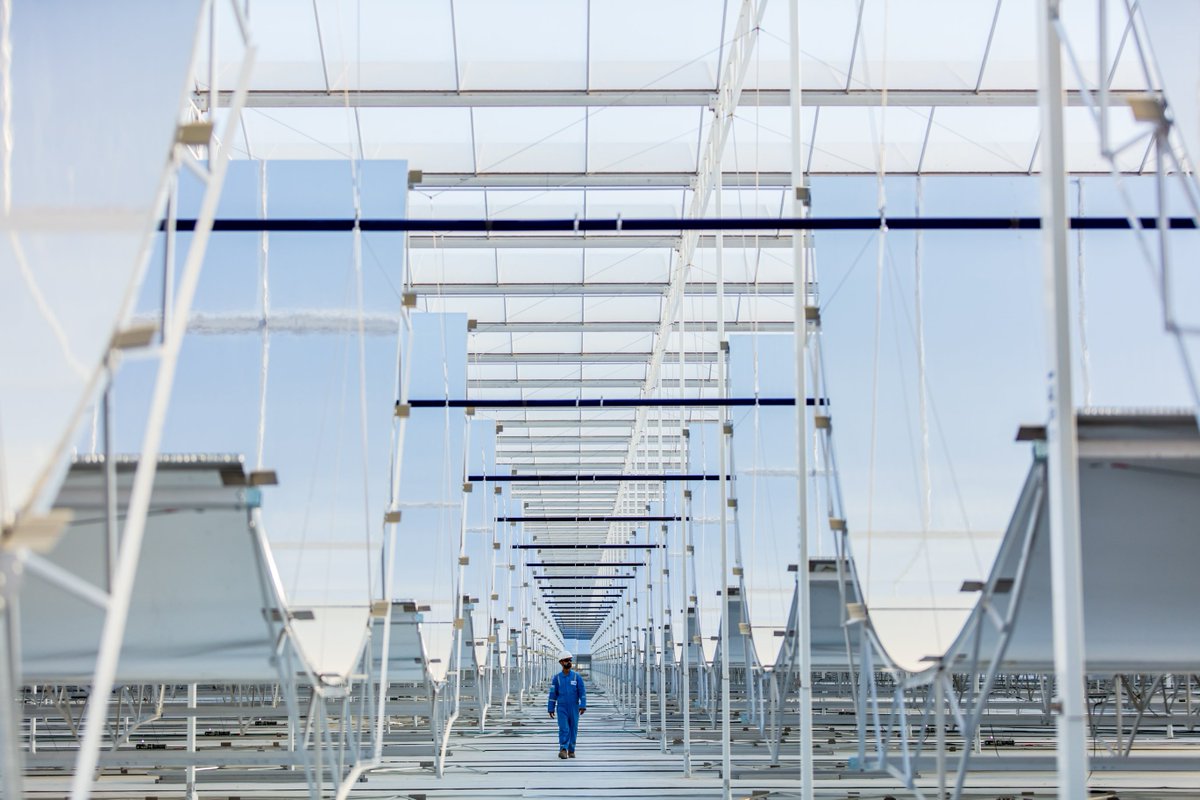 GlassPointSolar's tweet image. Did you know that each greenhouse at #Miraah has up to 40 rows of mirrors that track the sun throughout the day! #GlassPoint #MeetMiraah #Oman