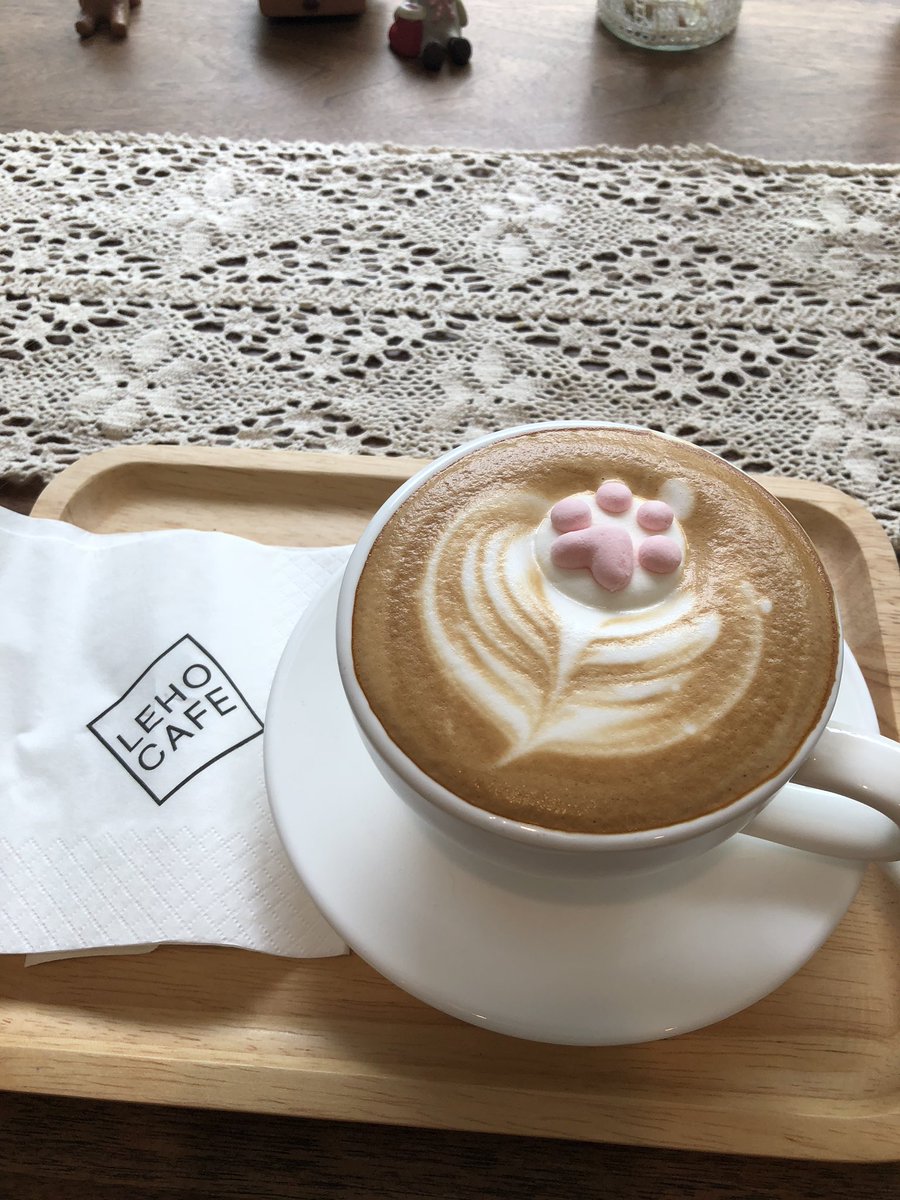 1228_haruki's tweet photo. 最近よく猫カフェに通ってる https://t.co/elLvBFjb0S