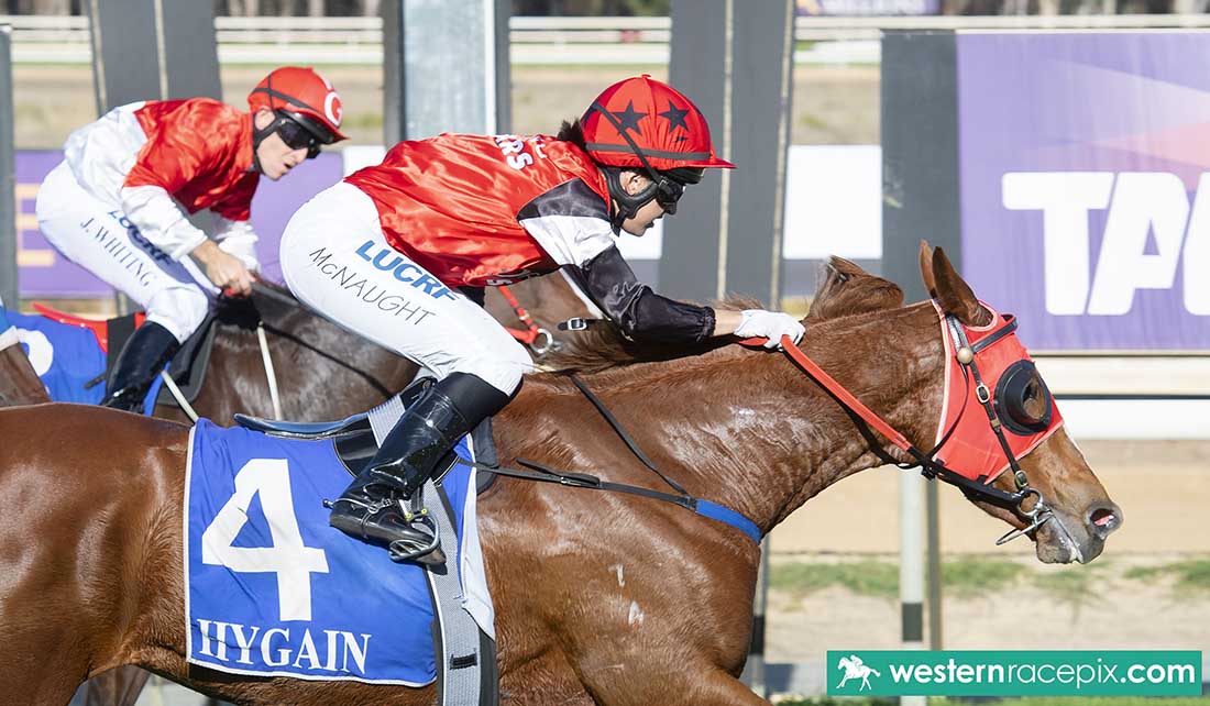 WesternRacepix's tweet photo. ROYAL STRATA - Pinjarra Wed 17th April @PinjarraPark #WesternRacepix #WAracing #RisingStars https://t.co/eFx17VSlI6