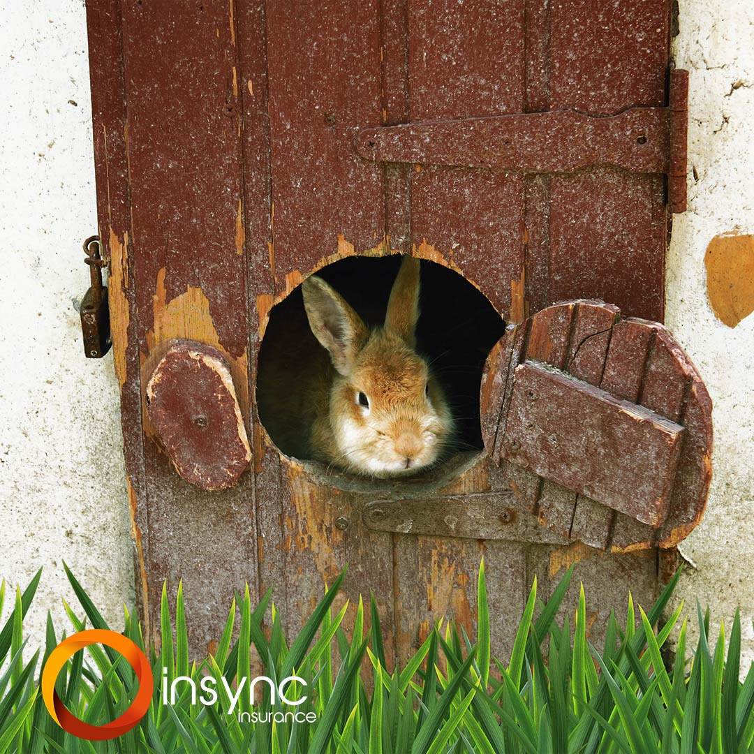 Insync Insurance tweet media