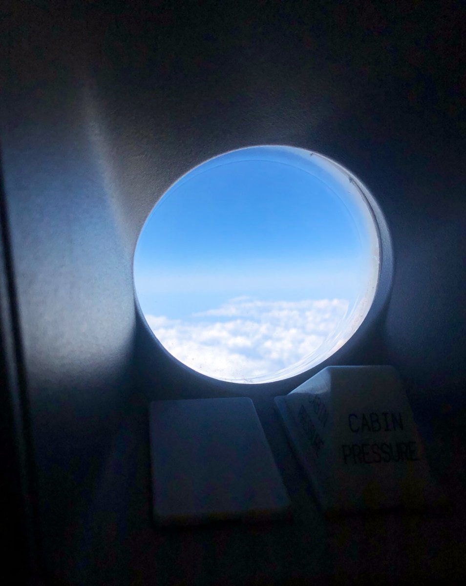 Yogui_Bear's tweet image. Aunque sea pequeña... #TeamVentana #WindowTeam #WindowsTeam