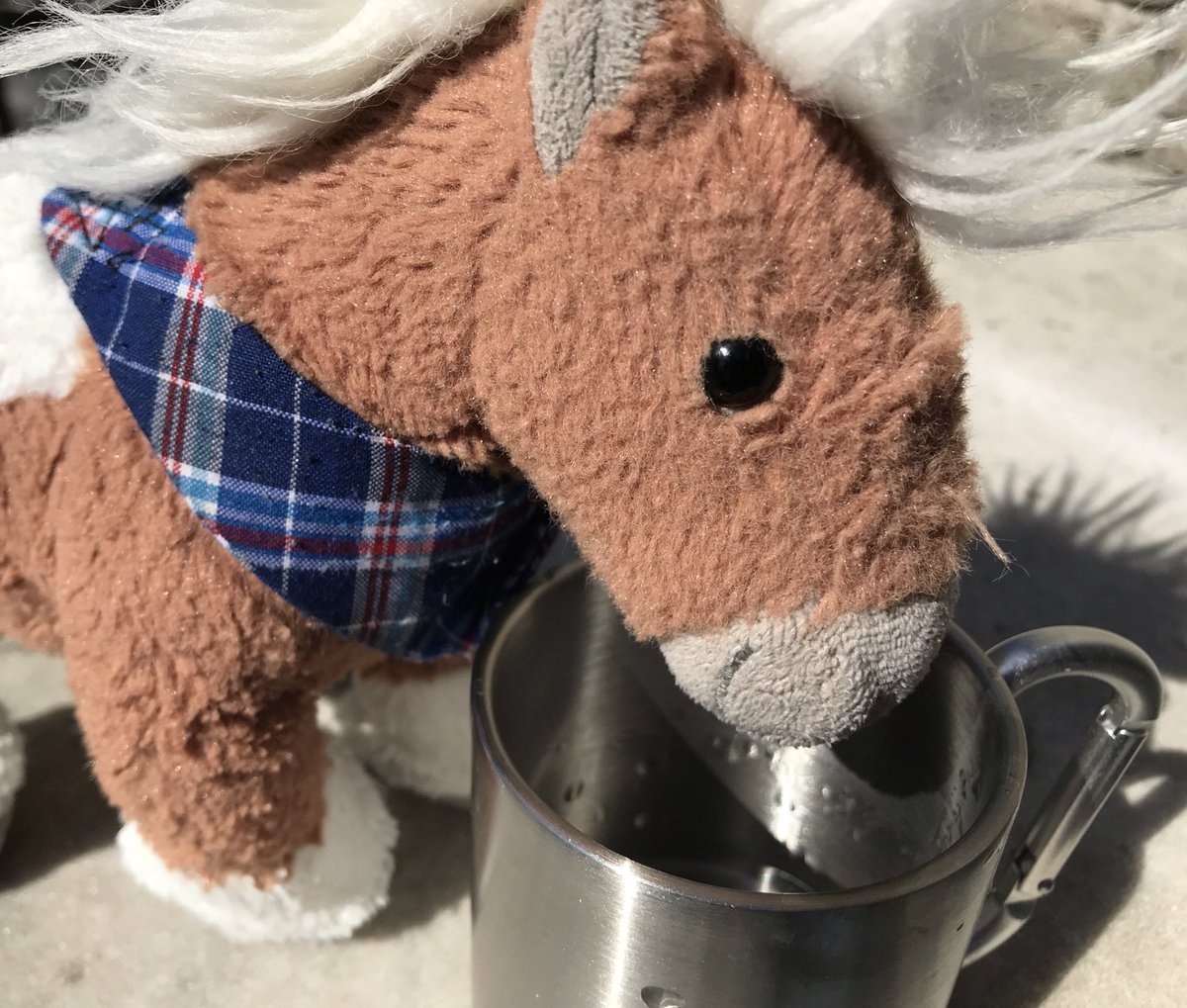 kanzleipony's tweet photo. Habe endlich meinen eigenen Becher für Kaffee, Korn, Müsli, Whisky! *Wieher #DankeScheff https://t.co/jBW0GmEIMU